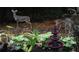 Backyard fountain and garden with visiting local wildlife at 2815 Cambridge Hills Rd, Cumming, GA 30041