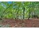 The backyard features a mature treeline, providing shade and privacy at 209 Southerness Ct, Stockbridge, GA 30281