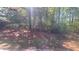 View of a wooded backyard at 209 Southerness Ct, Stockbridge, GA 30281