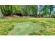 Lush backyard with mature trees and green space perfect for outdoor enjoyment at 223 Cheatham Rd, Acworth, GA 30101