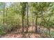 Lush backyard featuring mature trees and a serene natural setting, perfect for outdoor enjoyment and privacy at 255 Sageglen Rd, Lawrenceville, GA 30044