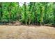 A spacious backyard featuring beautiful green trees, offering a private outdoor space at 3244 Mount Olive Rd, Atlanta, GA 30344
