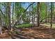 Beautiful backyard featuring a wooden deck, lush greenery, mature trees, and an idyllic footbridge at 4414 Aldenham Way, Suwanee, GA 30024