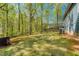 Wide open backyard with large trees providing privacy and cooling shade at 166 Rustin Dr, Dallas, GA 30157