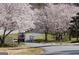 Charming community street lined with flowering trees, creating a picturesque and inviting atmosphere at 108 Dove, Peachtree City, GA 30269