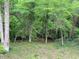 View of a wooded lot with a small creek or stream in the backyard at 412 Nickajack Retreat Ln, Smyrna, GA 30082