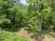 View of lush trees in the backyard of this homesite, perfect for nature lovers at 412 Nickajack Retreat Ln, Smyrna, GA 30082