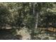 This creek runs through the tree-filled landscape, showing the property's natural surroundings at 412 Nickajack Retreat Ln, Smyrna, GA 30082