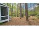 Spacious wooded backyard, view of rear screened in porch at 1200 Izod Ct, Lawrenceville, GA 30044