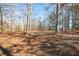 A wide-angle shot of a peaceful backyard with trees and plants under a clear, bright sky at 45 Hunters Ridge Ct, Covington, GA 30014
