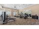 Bright gym featuring modern fitness equipment, large windows, and mirrored wall, promoting an active lifestyle at 347 Woodridge Pass, Canton, GA 30114