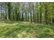 Large grass backyard surrounded by tall trees on a sunny day at 1093 Lanier Sw Dr, Marietta, GA 30060
