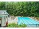 Community swimming pool with ample lounge seating, umbrellas, and a surrounding wooded area at 7470 Princeton Trce, Sandy Springs, GA 30328