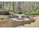Scenic outdoor space features a tranquil pond with a beautiful water fountain surrounded by greenery at 1826 Bedfordshire Ct, Decatur, GA 30033