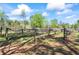 View of a budding vineyard in the spring sunshine with wooden posts at 700 Stewart Rd, Covington, GA 30016
