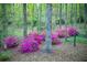 Inviting yard featuring groupings of vibrant pink azalea bushes providing color and charm to the wooded setting at 1039 Smyrna Rd Sw, Conyers, GA 30094