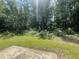 A grassy backyard with mature trees offering shade and privacy at 3870 Spring Moss Cir, Snellville, GA 30039