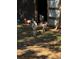 Front view of livestock (sheep, goats) near the entrance to a small barn in natural light at 5098 Meadows Rd, Powder Springs, GA 30127