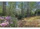A verdant backyard featuring mature trees and blooming pink azalea bushes at 302 Wickley Way, Woodstock, GA 30188