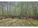 Spacious backyard with mature trees and lush green grass at 302 Wickley Way, Woodstock, GA 30188