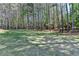 Lush, green backyard featuring a spacious lawn and mature trees, creating a serene outdoor oasis at 4505 Whitestone Way, Suwanee, GA 30024