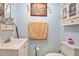 Small bathroom with blue walls, a mirror, a toilet, and a white sink at 126 Amberwood Ln, Euharlee, GA 30145