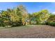 Lush green yard with mature trees, providing a serene and private outdoor space at 3 S Riversong Ln, Alpharetta, GA 30022