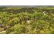An aerial view showcasing the mature landscaping and the homes nestled in the trees at 45 Harvey Ave, Covington, GA 30016