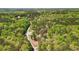 Stunning aerial view of a lush green community with winding roads and mature trees at 45 Harvey Ave, Covington, GA 30016
