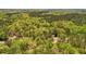 An aerial view highlighting the mature landscaping and privacy afforded by the trees at 45 Harvey Ave, Covington, GA 30016
