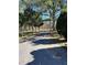 Long paved driveway leads to the property, surrounded by mature trees at 639 Hall Station Rd, Kingston, GA 30145