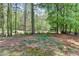 View of a wooded backyard area with sparse ground cover, showcasing the natural surroundings and property boundary at 3237 Birkdale Ave, Duluth, GA 30097