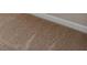 This is a close up of the carpet at 275 Denver Ave, Hiram, GA 30141