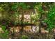Lush backyard with mature trees and a creek providing a serene and private natural setting at 4735 Longcourt Se Dr, Atlanta, GA 30339
