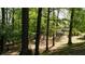Wooded backyard showcasing mature trees and a serene setting at 1711 Homestead Ne Ave, Atlanta, GA 30306