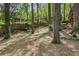 Lush backyard featuring mature trees, landscaping, and a glimpse of the home's architecture at 1711 Homestead Ne Ave, Atlanta, GA 30306