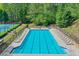 Community pool, tennis courts, and mature trees in a well-kept common area at 206 Mountain Vista Blvd, Canton, GA 30115