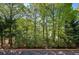 Beautiful backyard view with mature trees and lush greenery at 636 Parkside Village Nw Way, Marietta, GA 30060