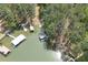 Aerial view showcasing waterfront properties, docks, and lush greenery, providing a serene lakeside living experience at 803 Willow Oak Dr, Woodstock, GA 30189