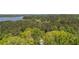 A sprawling, green tree canopy stretching to a lake on the horizon creates a secluded, private setting from the air at 803 Willow Oak Dr, Woodstock, GA 30189