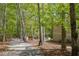 Scenic property showcasing a long driveway, a well-maintained yard, and a glimpse of the home's exterior at 803 Willow Oak Dr, Woodstock, GA 30189