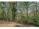 Beautiful backyard view with mature trees at 5894 Highway 20 Ne, Cartersville, GA 30121