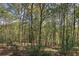 Lush wooded backyard of home with mature trees and natural landscape at 5894 Highway 20 Ne, Cartersville, GA 30121