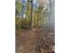Scenic walking trail through a serene forest, perfect for nature lovers and outdoor activities at 3960 Clairmont Rd # 2, Chamblee, GA 30341