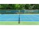 Tennis court net close-up of the community's well-maintained courts at 3531 Vintage Trl, Woodstock, GA 30189