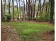 Spacious backyard featuring a well-maintained lawn, surrounded by mature trees and a chain link fence at 350 New Jersey Nw Ave, Atlanta, GA 30314
