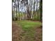 Well-maintained backyard featuring a lawn, bordered by mature trees and a chain link fence for privacy at 350 New Jersey Nw Ave, Atlanta, GA 30314