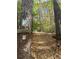 A serene pathway through a wooded nature preserve at 1968 8Th St, Chamblee, GA 30341