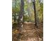 Scenic nature path winding through a serene wooded area at 1968 8Th St, Chamblee, GA 30341