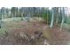 Backyard view of deer foraging among the trees and leaves at 198 Wiley Dr, Douglasville, GA 30134